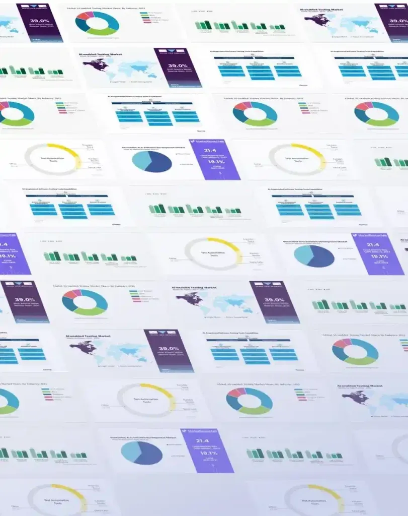 Exploring the State and Future of AI Testing
